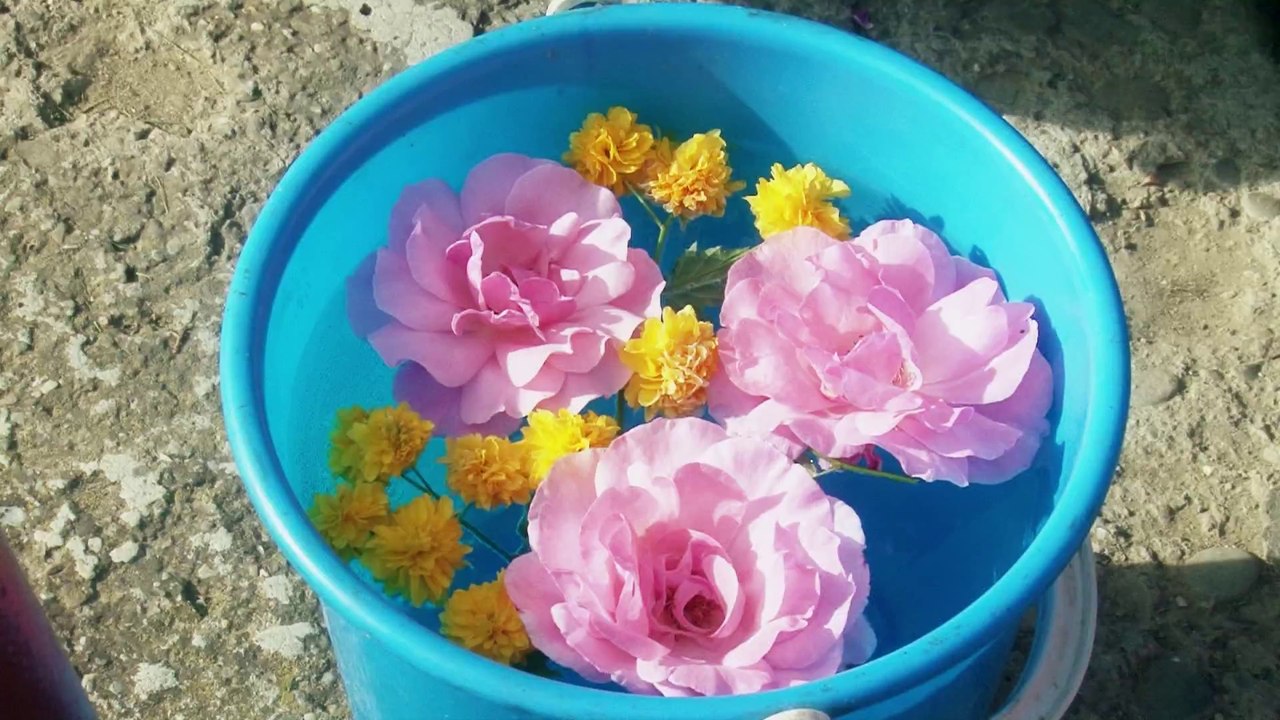 Filmari nunti Ploiesti