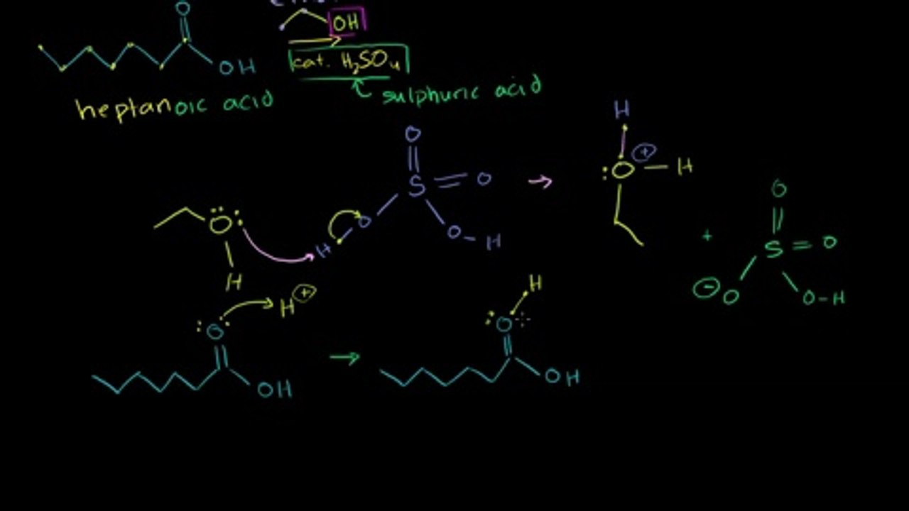 Fisher Esterification