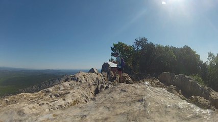 2014 Pic St Loup