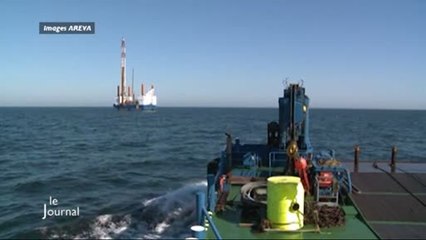 Deux candidats pour le projet de parc éolien (L'île d'Yeu)