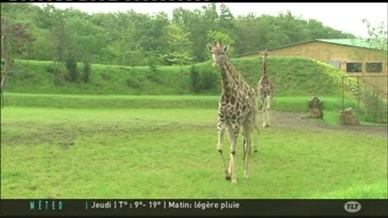 Rencontre avec les animaux du zoo du Plaisance-du-Touch