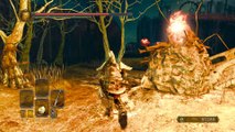 Dark Souls 2 Gameplay Walkthrough #72 | Boss Battle - Skeleton Lords | NG  Lvl230 