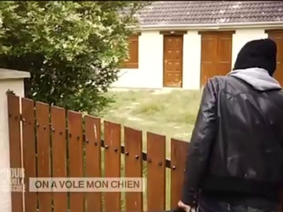 Le jour où tout a basculé - On a volé mon chien
