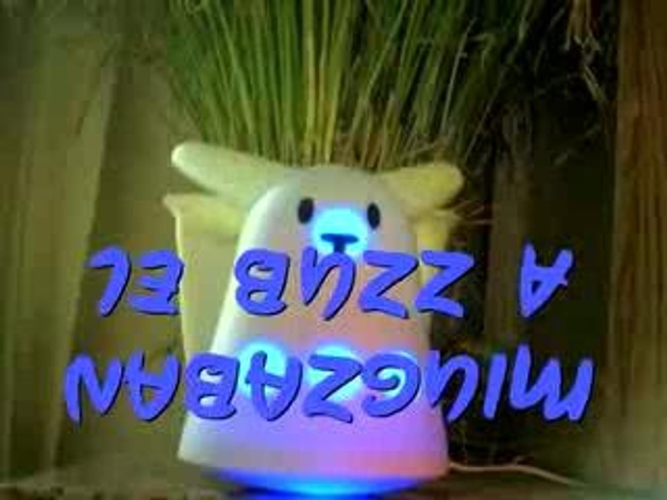 Le Buzz à NabazGuiM