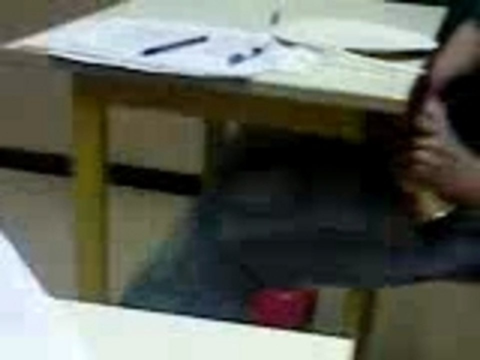 Choucroute bac blanc 2