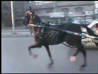 kali gori dhok khabba(zahid rafiq tanga maker )