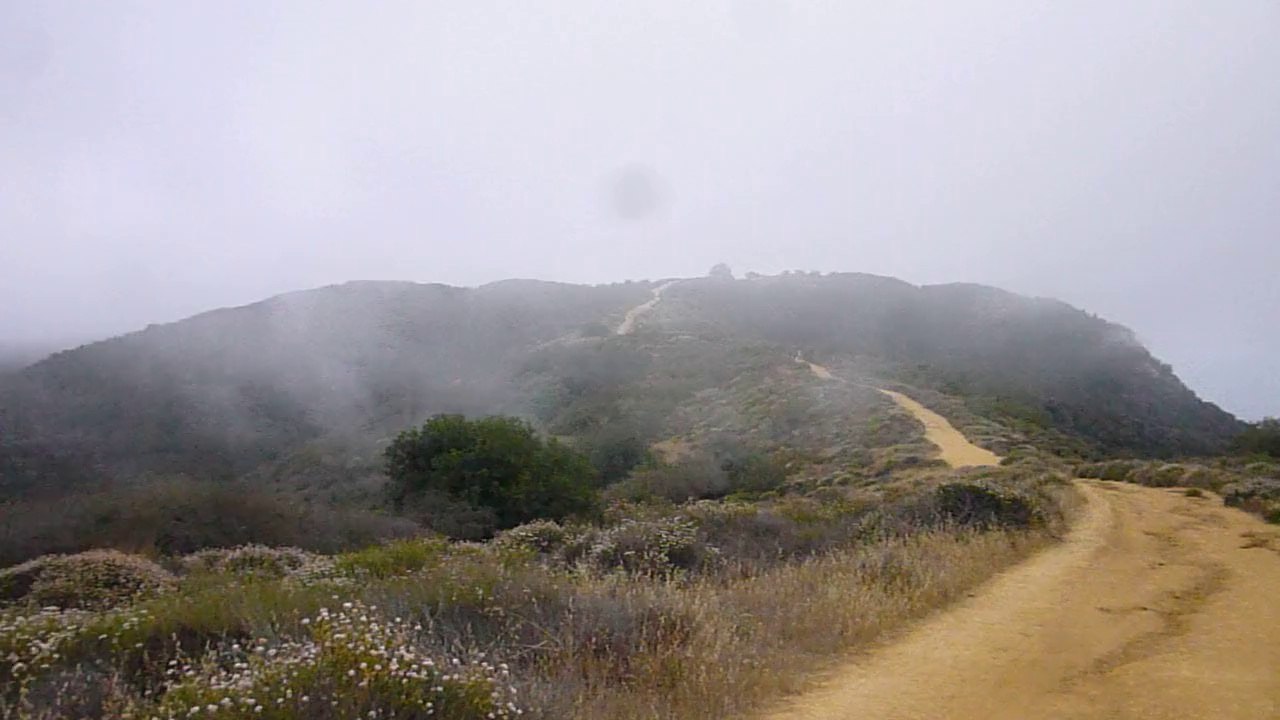 Topanga State Park, Clouds on the Trail, June 2013
