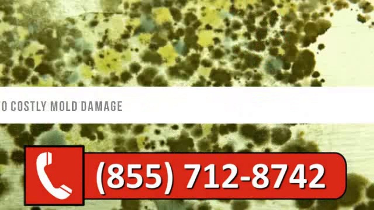 (855) 712-8742 - Flooded Basement and Water Cleanup and Extraction Company Minneapolis MN