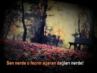 YAHYA KEMAL BEYATLI YILI BESTE YARIŞMASI BİRİNCİSİ (ŞENTÜRK DEVECİ)