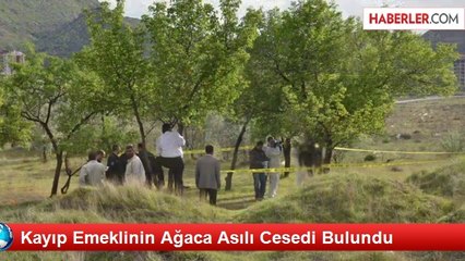 Kayıp Emeklinin Ağaca Asılı Cesedi Bulundu