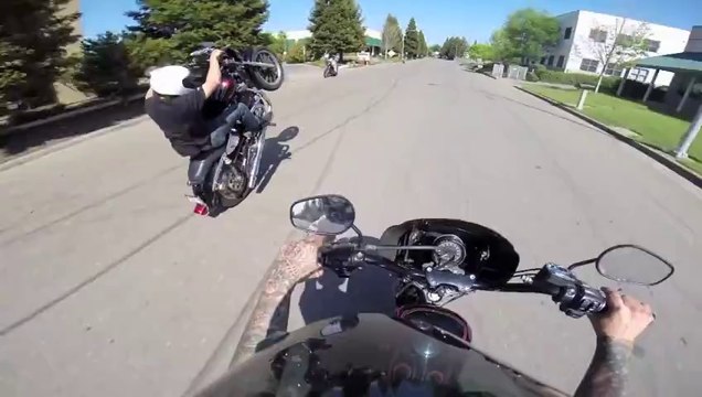 Faire des roues arrières en Harley-Davidson !