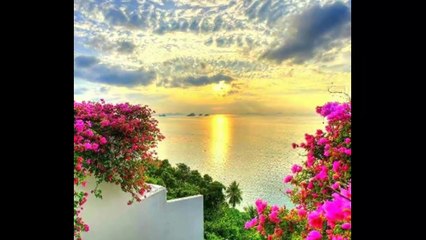 Good morning, sea!...(music Nicolas de Angelis)... ...