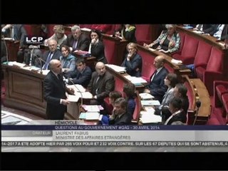 Download Video: Egypte : Laurent Fabius répond à une question à l'Assemblée nationale (30/04/2014)