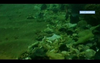 Pollution marine : "Quand on plonge, on voit des déchets jusqu'à 2500m", explique l'Ifremer – 02/05