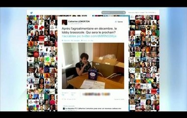 Cadeaux aux députés: "tout va bien jusqu'au jour où un amendement ne plait pas…", dénonce une élue PS - 02/05