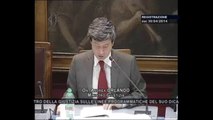 Roma - Audizione Ministro Orlando - prima parte (30.04.14)