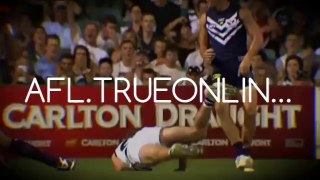 Watch Werribee B vs. Casey Scorpions - live AFL - Australia - VFL - nrl ladder - live afl scores - free football streaming