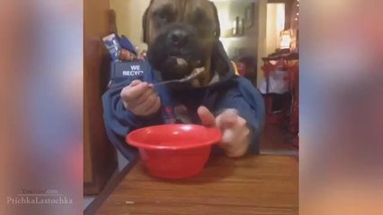 Ultimate Fail - Win Compilations 3