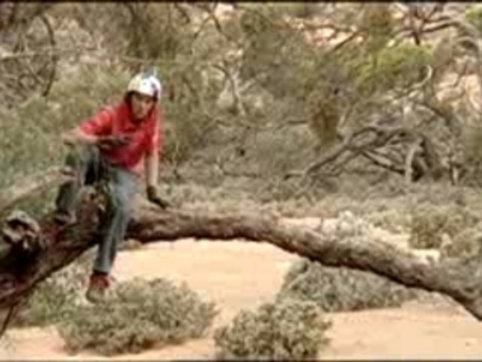 Z-New World Disorder 5 - -aaron_chase