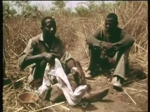 Man hunted Big Snake with the his Leg