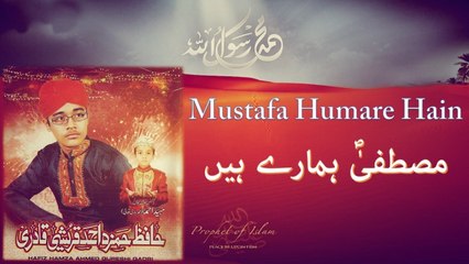 Hafiz Hamza Ahmed Qureshi Qadri - Mustafa Humare Hain