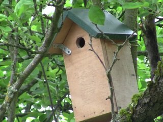 Mesange-Entree-Sortie