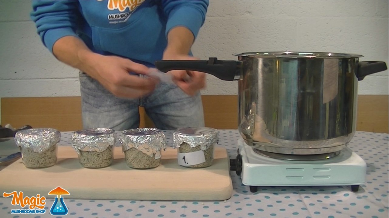 Part 2 of the PF Tek instruction video: Sterlizing the substrate for Magic Mushrooms growing