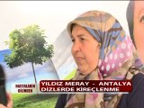 DİZDE KİREÇLENME HASTALIĞI VARDI ŞİFALI BİTKİLERİ KULLANDI