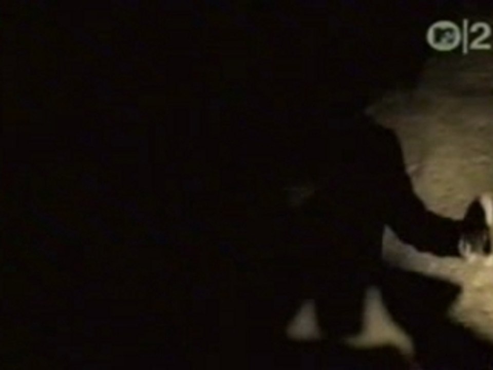 Black Crowes - She Talks To Angels