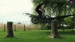 Best Of The Week #57: Léo Nobile, Skate, Snowboard, Motor, Surf, Skydiving, Ski, Parkour, Watersports, Waterslide