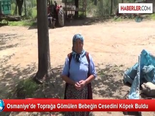 Toprağa Gömülen Bebeğin Cesedini Köpek Buldu