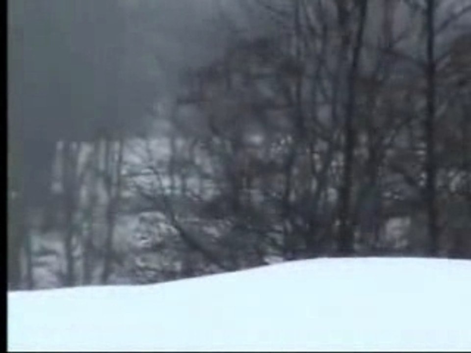 Chechen Rebels