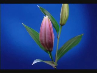 Guarda dentro la tua anima ed intorno a te