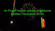 Maifest Feuerwerk 2014 Wien Prater Full HD