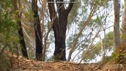 heath and bianca - 5952