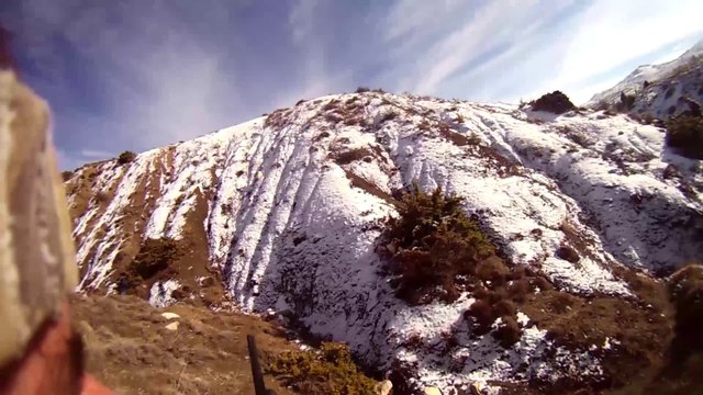 epagneul breton ile keklik avı 3