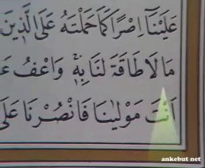 Ismail Biçer - Amenerrasulu(Emenerrasülü)