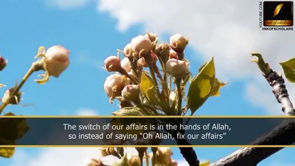 One step happiness- Shaykh Zulfiqar Ahmad