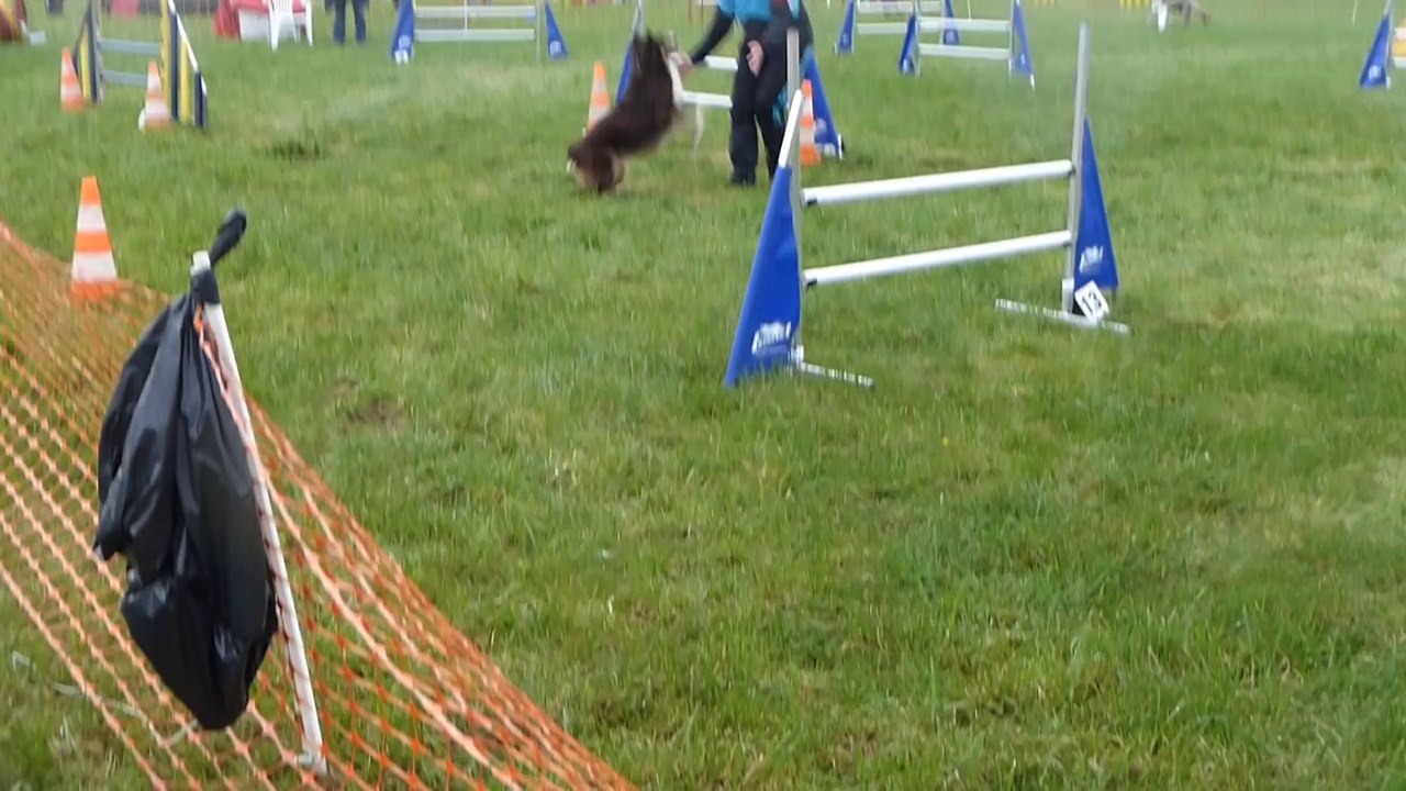 Errevet open Gioia 01-05-14