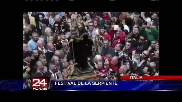 México: burros celebraron su día disfrazados de diferentes personajes (2/2)