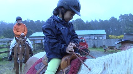 Cheval sur la plage, côte d'Oregon 1