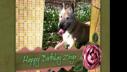 Zinga 14 ans