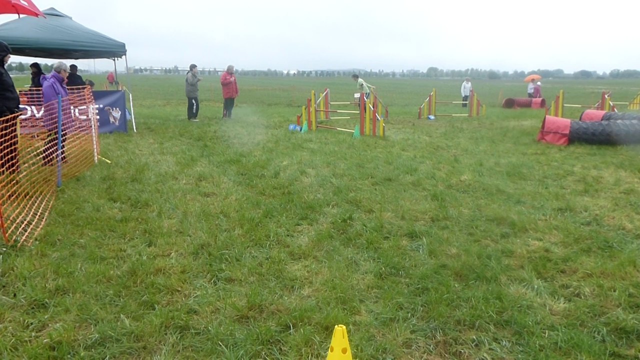 Errevet Jumping Gioia 01-05-2014