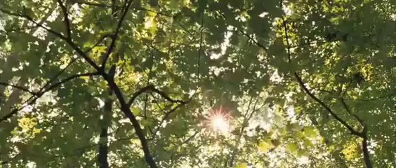 Revolutionary Road - Movie Trailer