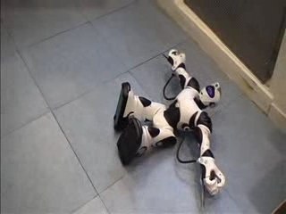 Robosapien V2