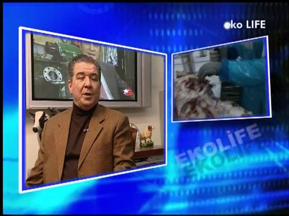 Şenel İnşaat - Star Tv Ekolife Programı 2.Kısım