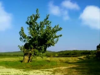 Harika Bir Animasyon - Rızkınızda Ne Varsa Onu Alırsınız