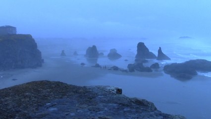 Cheval sur la plage, côte d'Oregon 3