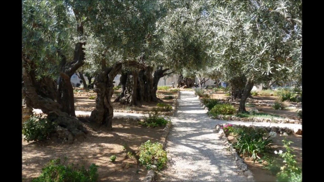 כתב האינטרנט של הרברט ביאנקי - במיוחד בישראל