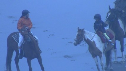 Cheval sur la plage, côte d'Oregon 4